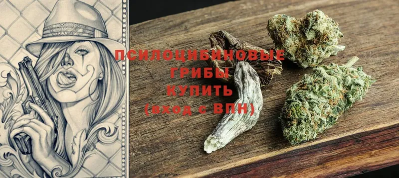 Галлюциногенные грибы Psilocybe Энгельс