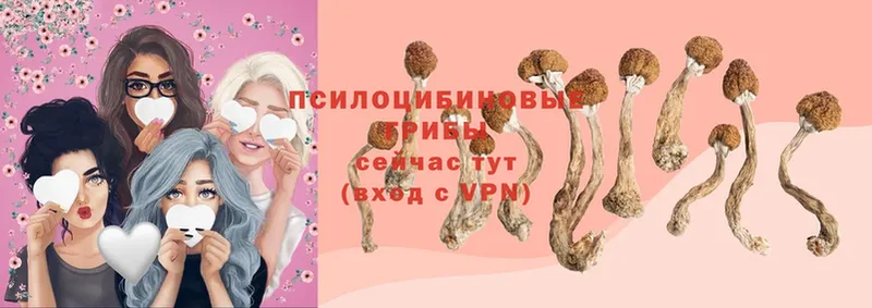 Псилоцибиновые грибы Magic Shrooms  Энгельс 